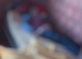 Trabalhador é encontrado morto dentro de alojamento de carvoaria por amigo