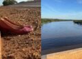 Capivara News TV: Médica pula de ponte e desaparece nas águas do Rio Ivinhema em MS