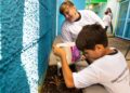 Programa privado fomenta educação municipal brasileira se baseando na natureza