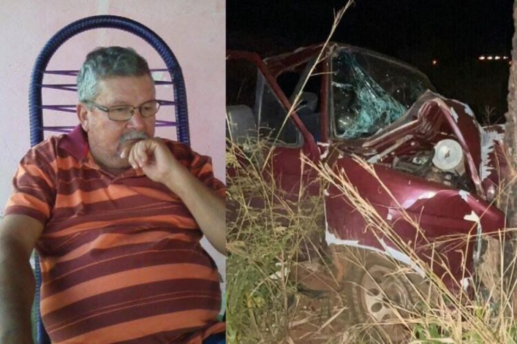 Condutor de caminhonete morre no hospital, após colisão com árvore na BR-060