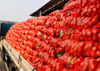 Aumento na oferta barateia cebola e pimentão verde, mas frio eleva preço das frutas
