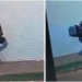 Trio que roubou crianças a caminho da escola na Capital é identificado