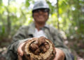 Mecanismo Amazônia Viva conclui segundo ciclo de crédito com 100% de adimplência e fortalece sociobioeconomia na região