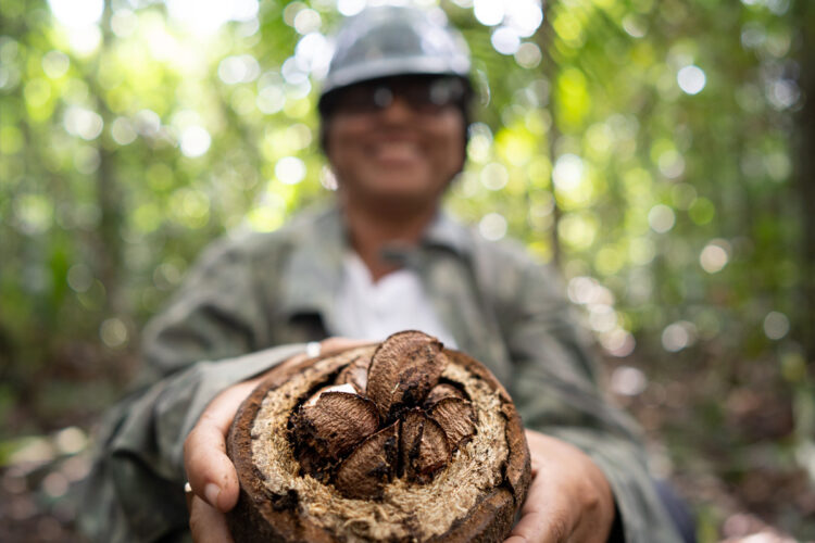 Mecanismo Amazônia Viva conclui segundo ciclo de crédito com 100% de adimplência e fortalece sociobioeconomia na região
