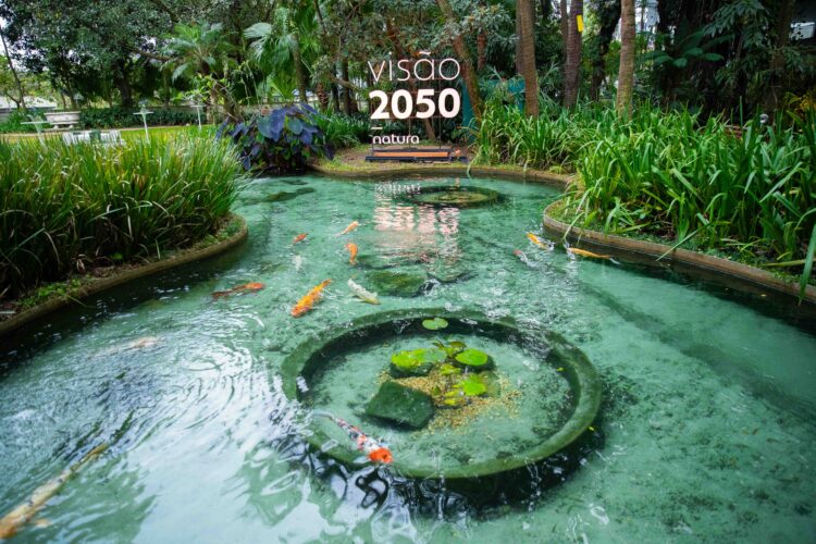 Natura e Santa Casa de SP fazem estudo sobre o impacto das mudanças climáticas na saúde mental dos brasileiros