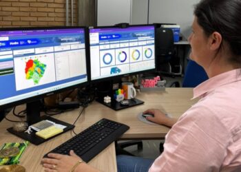 Saúde Única: Governo de MS disponibiliza Painel de Brucelose para fortalecer vigilância integrada em MS
