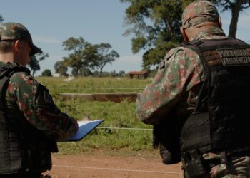 Operação Prolepse: prevenção a incêndios florestais reduz casos em áreas críticas no Estado