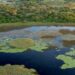 Parque do Pantanal do Rio Negro desponta como modelo nacional na geração de créditos ambientais
