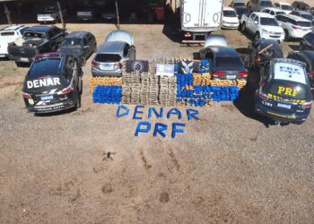 Em 6 meses, Denar dá prejuízo de R$ 12 milhões ao mundo do crime e do tráfico em MS