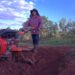 Com R$ 5,1 mi movimentados no semestre, Agraer projeta novo recorde nas vendas da agricultura familiar