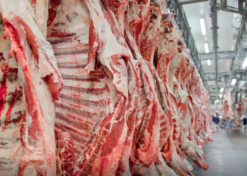 Sindicato de MS suspende produção de frios, carnes e derivados destinados aos EUA