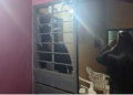 Trio executa homem com pelo menos 30 tiros de pistola em povoado na fronteira com Ponta Porã