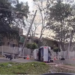 Capivara News TV: Jovem fica ferido ao colidir em poste, derrubar semáforo e tombar S-10 na Capital