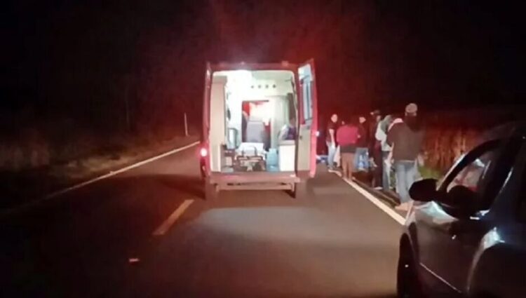 Bebê de 5 meses morre em colisão de Fiat Uno contra 2 vacas na MS-430