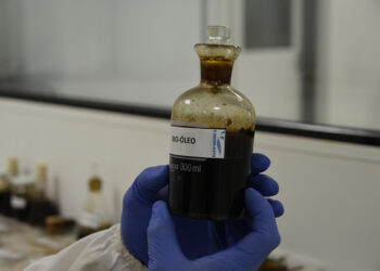 Senai-MS conquista primeira patente com pesquisa de biocombustível a partir de plantas aquáticas