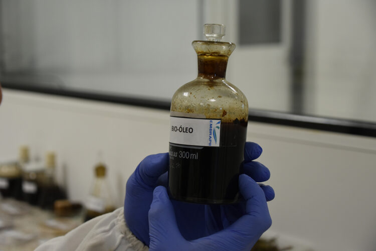 Senai-MS conquista primeira patente com pesquisa de biocombustível a partir de plantas aquáticas