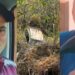 Corpos de trabalhadores desaparecidos são encontrados dentro de carro caído em ribanceira