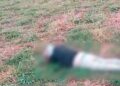 Capivara News TV: Homem é encontrado morto em terreno na fronteira