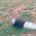 Capivara News TV: Homem é encontrado morto em terreno na fronteira