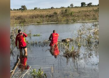 Corpo encontrado no Córrego Barrinha segue sem identificação em Ribas do Rio Pardo