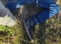 Homem é encontrado morto a golpes de faca em cidade da fronteira