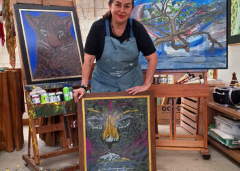 Artista plástica Lúcia Martins leva exposição inédita de MS para Florianópolis