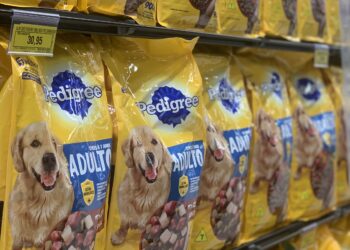 Mercado pet movimenta R$ 75,4 bilhões em 2024 e segue em expansão no Brasil