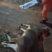Jovem de 20 anos morre ao atropelar bezerro na MS-473 quase chegando em Taquarussu