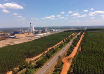 Comissão especial de licitação define recurso sobre Rota da Celulose e dá prazo a convocação