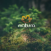 Natura é a apontada como marca de beleza mais influente do Brasil