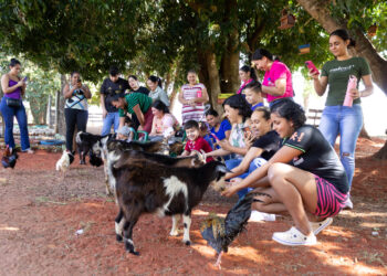 Dia no campo: crianças da AACC/MS vivem experiência inesquecível na Fazendinha MS