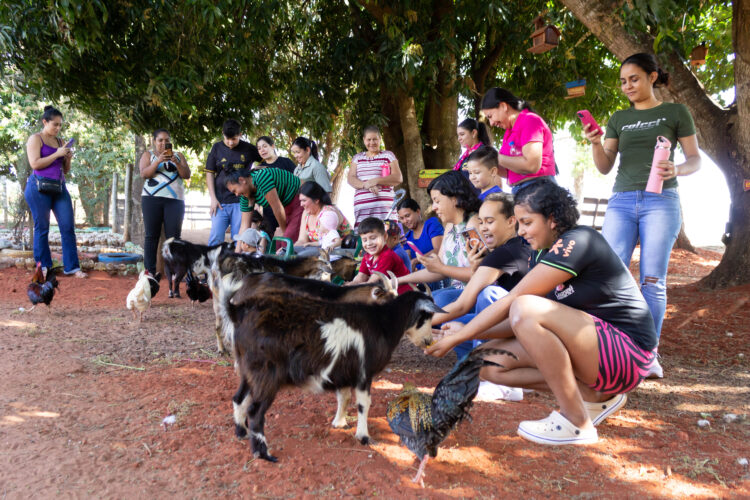 Dia no campo: crianças da AACC/MS vivem experiência inesquecível na Fazendinha MS