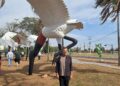 Os 126 anos de Campo Grande: a cidade que inspira a arte de Cleir