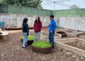 Especial PICTEC: Aulas de matemática ganham vida com horta geométrica