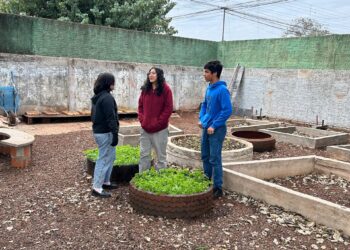 Especial PICTEC: Aulas de matemática ganham vida com horta geométrica