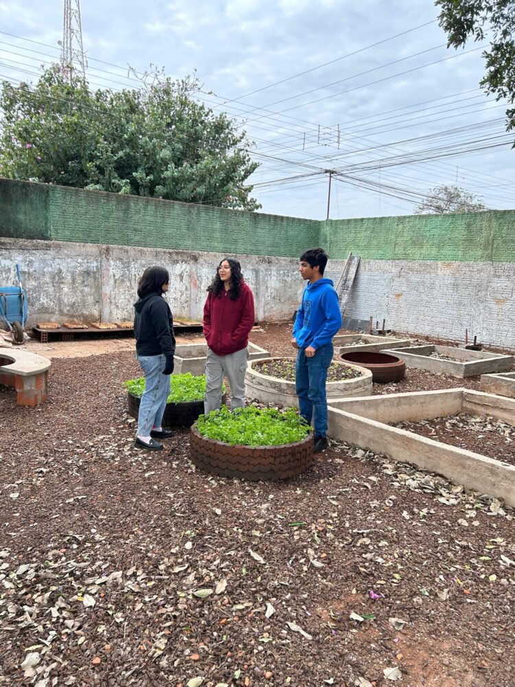 Especial PICTEC: Aulas de matemática ganham vida com horta geométrica