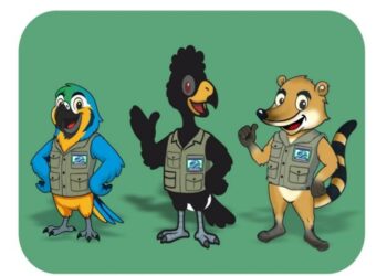 Instituto de Meio Ambiente de MS revela novo mascote institucional: quati é escolhido por servidores
