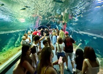 Bioparque Pantanal bate recorde de visitantes e consolida Campo Grande como novo destino turístico nacional
