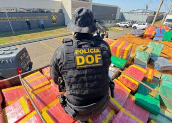 DOF apreende mais de 15 toneladas de maconha escondidas em carga de milho em MS