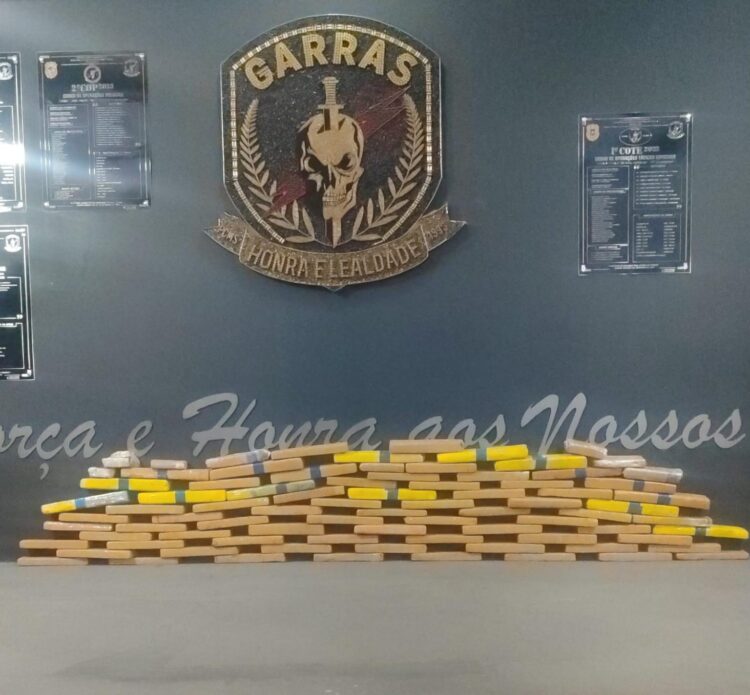 Entregador de marmitas é preso armado e com 75 tabletes de maconha em casa alugada