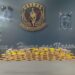 Entregador de marmitas é preso armado e com 75 tabletes de maconha em casa alugada