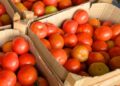 Preços da couve e do tomate ‘despencam’ na Ceasa-MS, mas frio encarece abobrinha