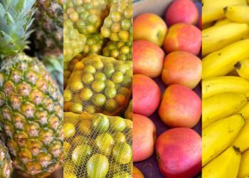 Explosão de cores e sabores: as frutas campeãs de vendas na Ceasa de Mato Grosso do Sul
