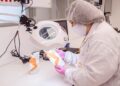 Nova lei que proíbe testes em animais reforça compromisso firmado há 20 anos pela Natura, pioneira no setor de cosméticos