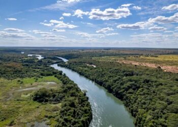 Arauco captou US$ 2,2 bilhões com BID Invest, IFC e Finnvera para financiamento do Projeto Sucuriu
