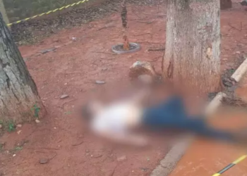 Pedreiro é encontrado morto na fronteira ao lado de árvore e em poça de água