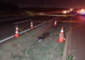 Caminhonete atropela e mata pedestre na BR-163 na área urbana de Dourados