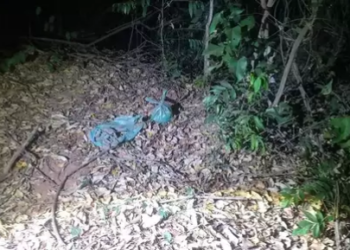 Capivara News TV: Feto é encontrado em área de mata de Três Lagoas e casal preso por aborto ilegal