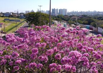 MS lança planos estratégicos de turismo para Campo Grande dos Ipês e Vale das Águas