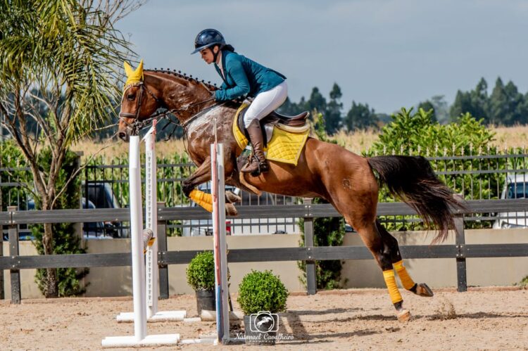 Entre saltos e emoções: hipismo movimenta fim de semana em Campo Grande